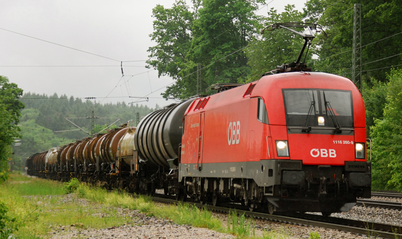 1116 260-9, der  Lokfhrerschein-Ox , aufgenommen am 31.05.10, bei der Durchfahrt durch Aling.