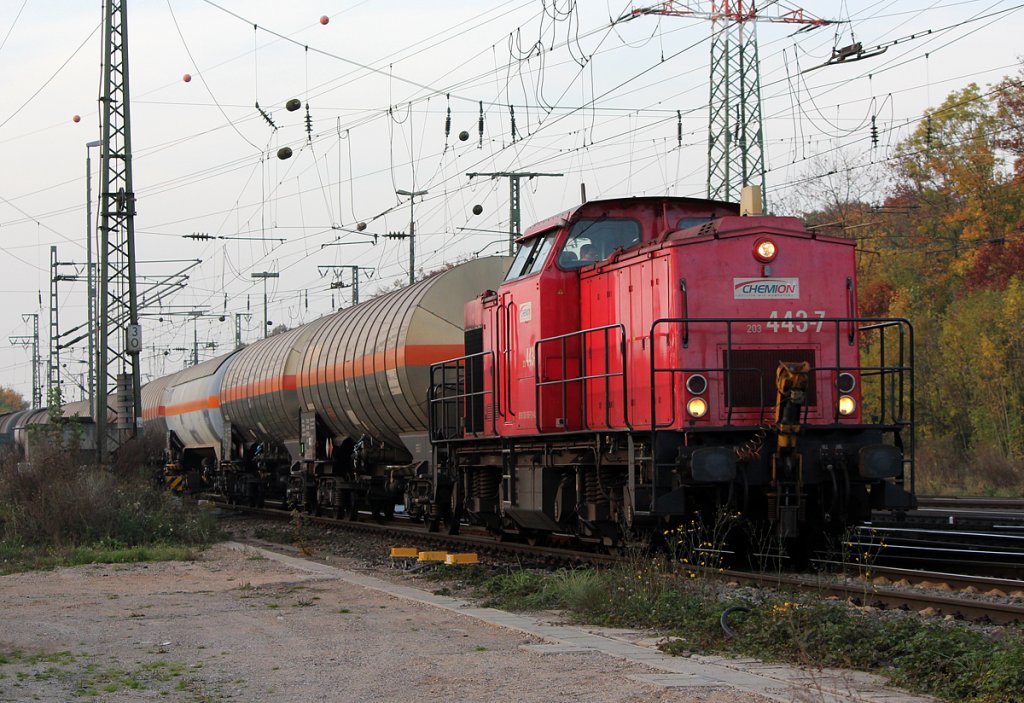 203 443-7 (203 155)  in Gremberg am 23.10.2012