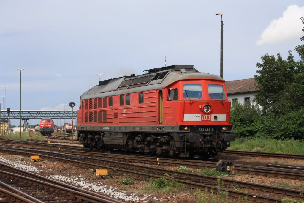 232 486 am 02.08.2010 im Bahnhof von Mhldorf.