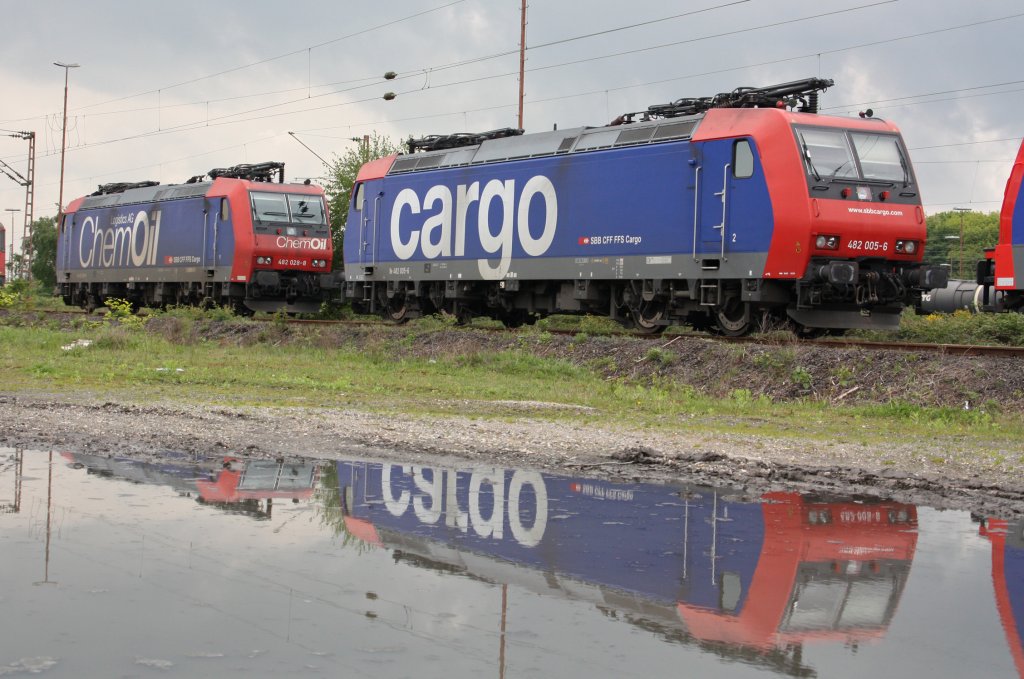 SBB Cargo 482 005 und 482 028 am 14.5.10 zusammen mit ihren Spiegelbildern in Duisburg Ruhrort Hafen