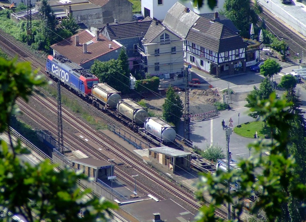 SBB Cargo mit Containerzug ist am 19.08.2010 auf der rechten Rheinstrecke in Knigswinter (Bilck vom Drachenfels) in Richtung Sden unterwegs.