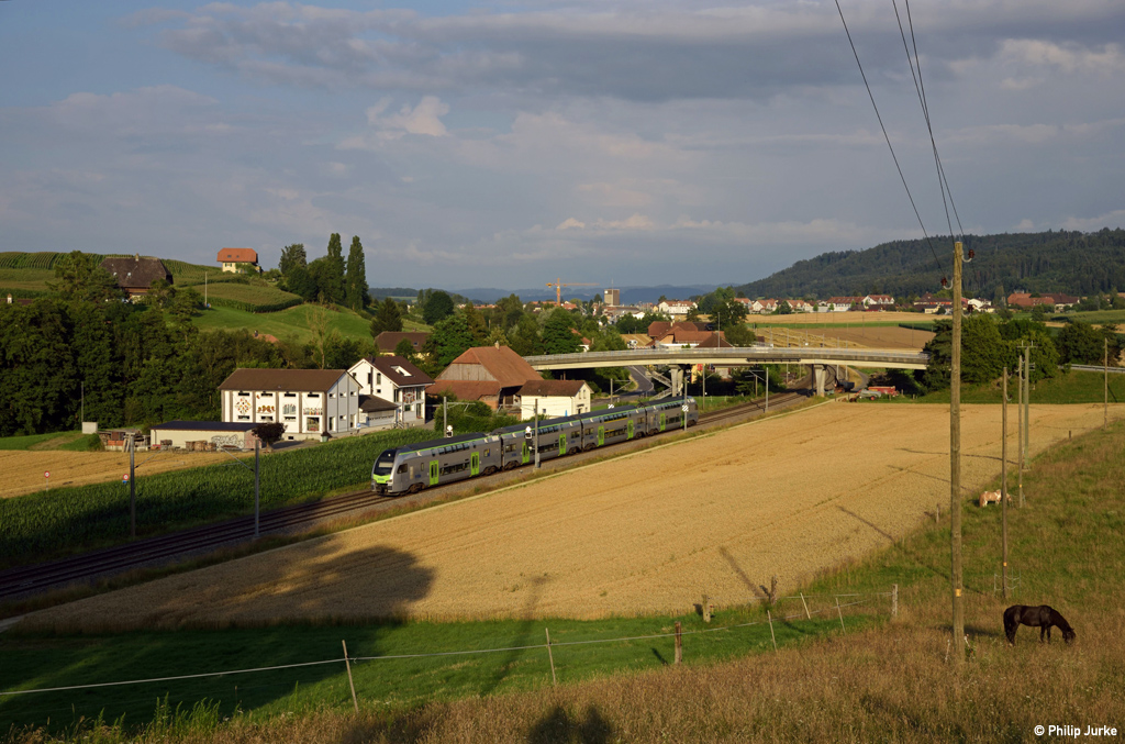 RABe 515 024-8 als S3 (Belp - Biel/Bienne) am 24.07.2016 zwischen Schüpfen und Suberg-Grossaffoltern.