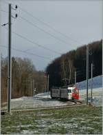 TPF Regionalzug zwischen Palzieux und Chtel St-Denis. 12. Jan. 2013
