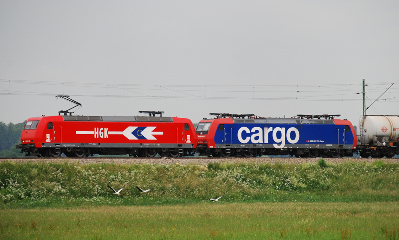 145-CL 012, HGK 2002, + 482 025-4, aufgenommen am 06.06.11, auf der Strecke Ulm-Augsburg, kurz nach Burgau.