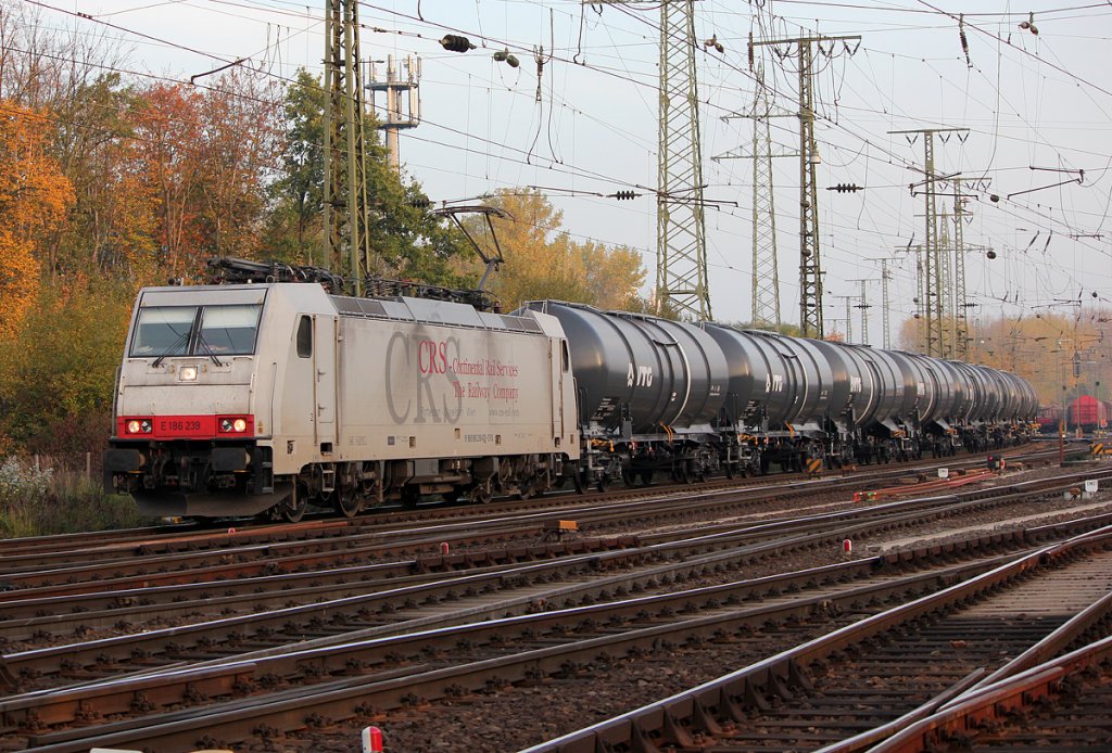 186 239  in Gremberg am 23.10.2012