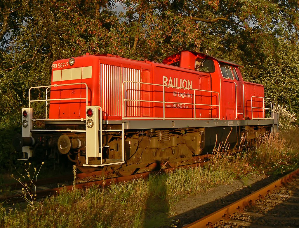 290 567-7 in Gremberg im Sept.09