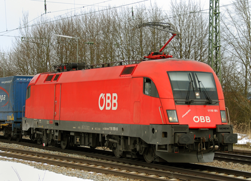 Der Ox mit dem Namen  Hanspeter . 1116 181-9, aufgenommen am 19.02.13, in Aßling.