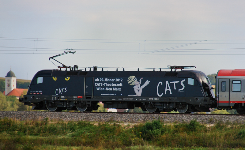 Die  Cats , 1116 153-6, gab sich am 16.09.11 auf der Strecke Ulm-Augsburg die Ehre! Dank an Helmut Dimitroff fr den Tip, der mir zu dieser Aufnahme verhalf.