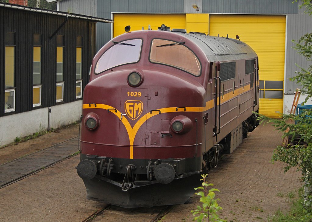 MY1029 in Padborg am 05.08.2011