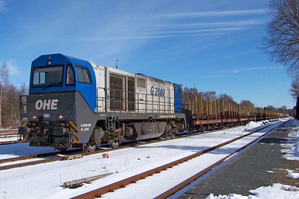 OHE 1041 steht mit einen leeren Holzzug im Bahnhof Munster (07.03.10)