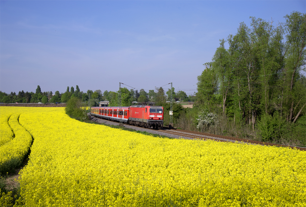 143 949-6 mit der S1 (Dortmund Hbf - Essen-Steele Ost) am 10.05.2017 zwischen Wattenscheid-Höntrop und Essen-Eiberg.
