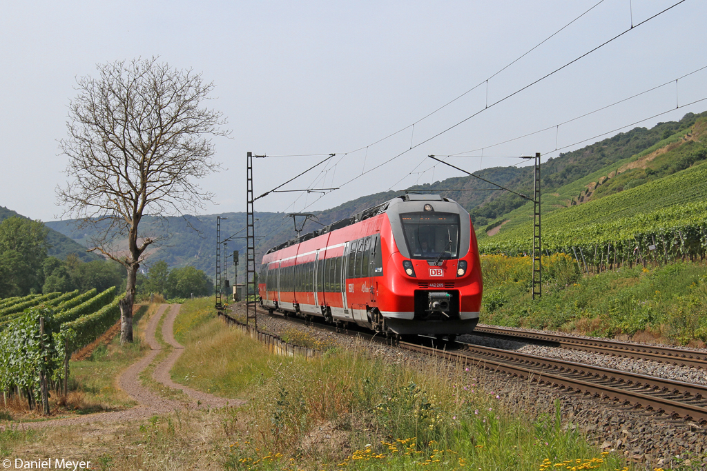 Der 442 205 in Pommern ( Mosel ) am 22.08.2013