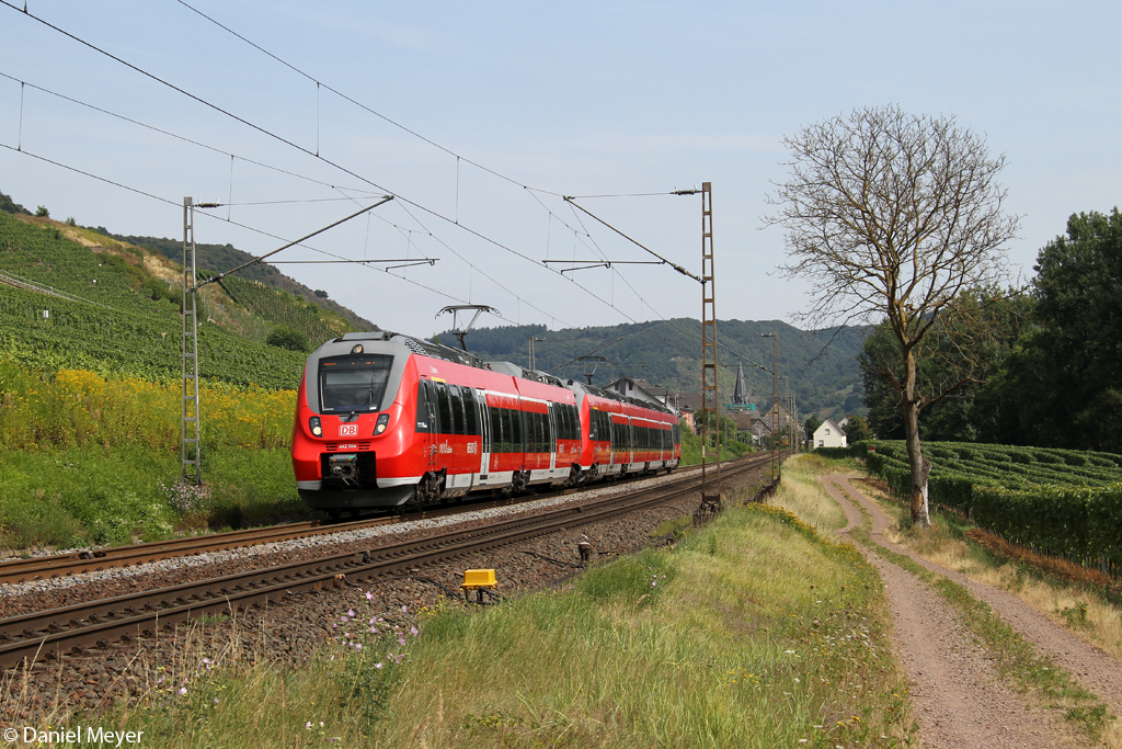 Der 442 504 und 442 704 in Pommern ( Mosel ) am 22.08.2013