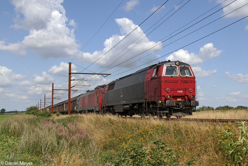 Die MZ 1439 mit der EG 3111 bei Padborg am 06.08.2014