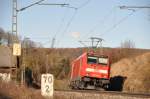 146 216-6 bei Urspring, am 1.Mrz 2010. Brennweite 110mm.