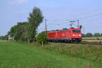 Am 20.8.11 zieht 185 239-1 und eine kalt mitlaufende 185 einen Gterzug Richtung Sden durch die Geestlandschaft bei Quarnstedt