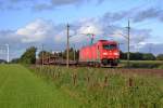 Am 08.9.11 zieht 185 334-7 einen Gterzug Richtung Sden durch die Geestlandschaft bei Quarnstedt