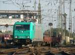 185 614-5 in Gremberg am 08.10.2010