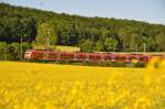Zwei Einheiten 425 fahren bei tief stehender Sonne zwischen Rapsfeldern und Wald Geislingen an der Steige entgegen, am 05.06.2010.