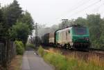 BB 37000/278752/437009-der-sncffret-bei-leubsdorf-am 437009 der SNCF/FRET bei Leubsdorf am 06.07.2013