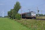 Am 20.8.11 zieht 241.006 Calrissan einen Gterzug durch die Geestlandschaft bei Quarnstedt