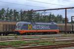 242.516 Ferdinand brachte am 4.8.11 einen Gterzug nach Padborg