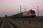 242.517 alias  Fitzgerald  mit einem Gterzug Richtung Sden am 03.03.13 bei Quarnstedt