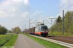 242.517  Fitzgerald  mit einem Gterzug Richtung Norden am 05.05.13 in Brokstedt