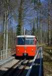 sonstiges-3/488517/tw-2-der-dolderbahn-als-linie TW 2 der Dolderbahn als Linie 25 (Bergstation - Römerhof) am 19.03.2016 zwischen Bergstation und Waldhaus Dolder.